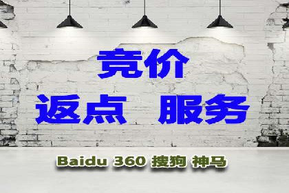 行业新秀的关键词竞价排名之路：快速崛起的案例