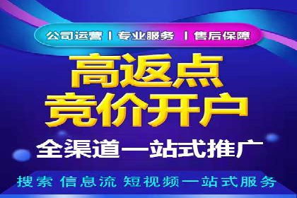 百度推广的成功案例：从零到一的突破