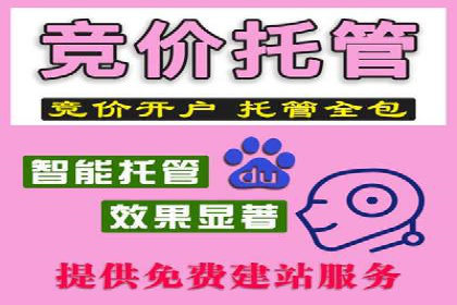 SEM托管公司成功案例：助力企业腾飞